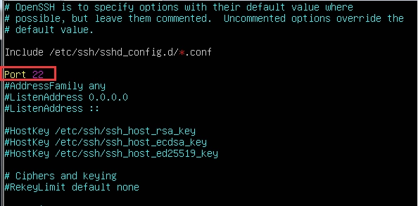 图片[38]-VMware虚拟机安装Ubuntu Server 20.04.2 LTS-China·诺言资源网