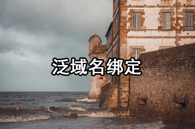泛域名解析和泛域名绑定有什么不同呢？-China·诺言资源网